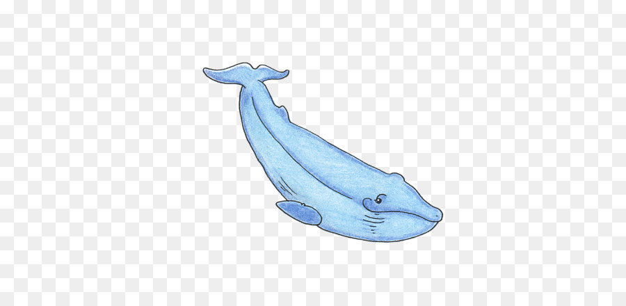 Paus Beluga，Paus PNG