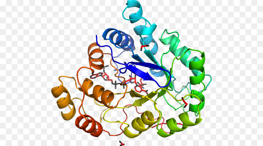 Struktur Protein，Molekul PNG