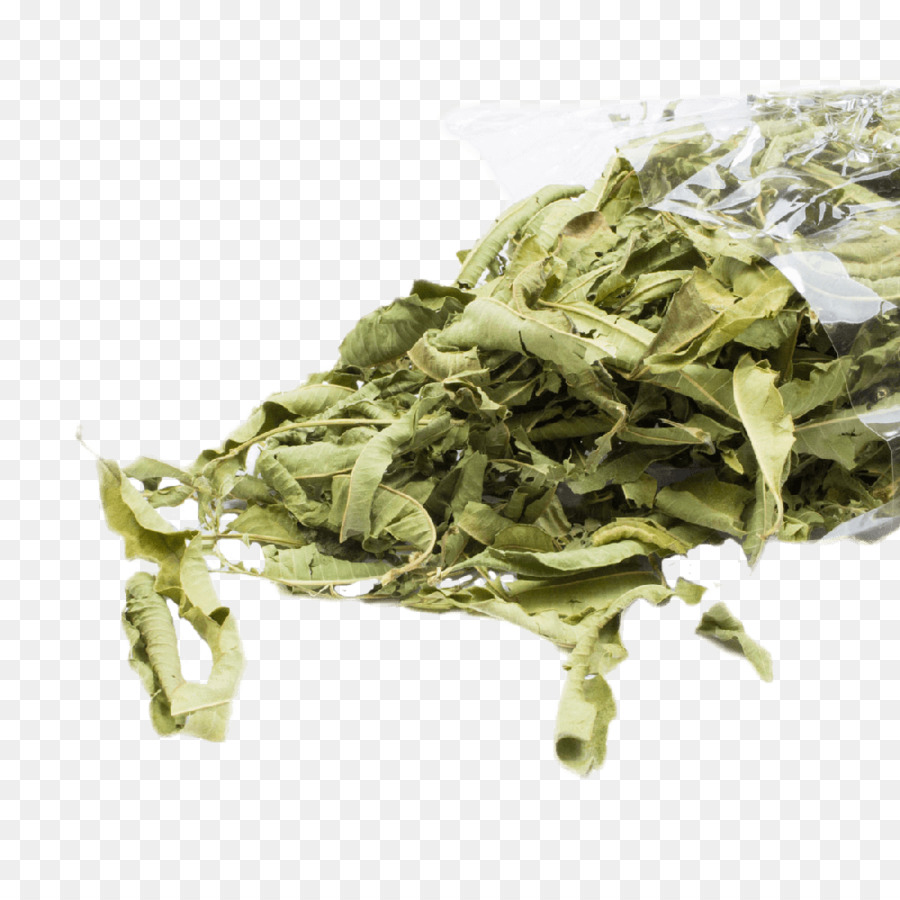 Sencha，Sayuran Daun PNG