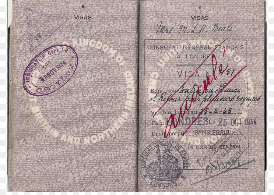 Stempel Visa，Paspor PNG