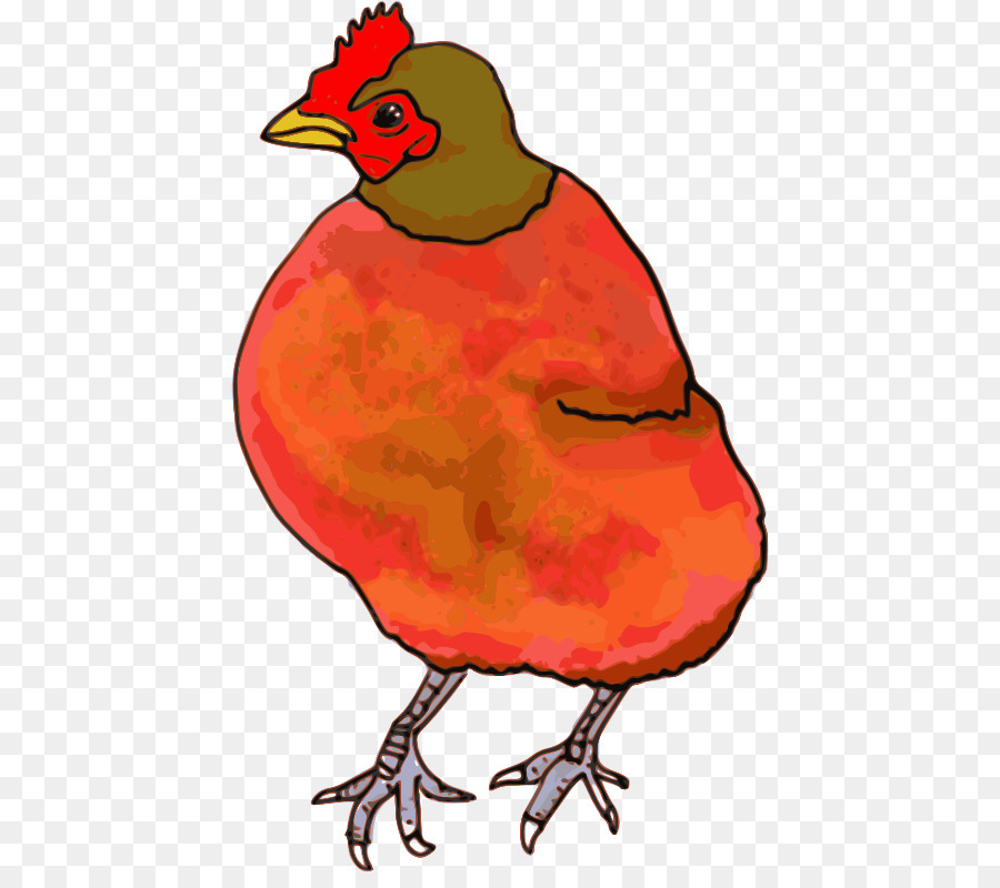 Ayam，Men Download PNG