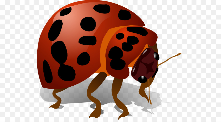Kumbang，Ikon Komputer PNG