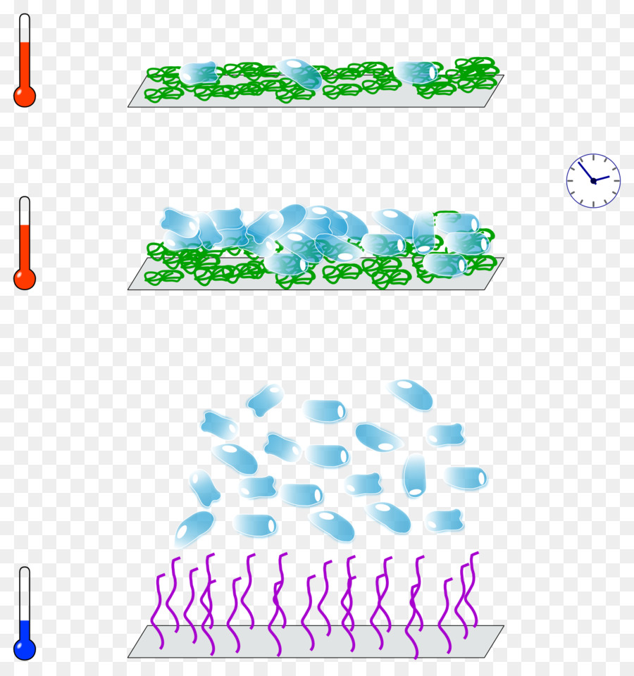 Monolayer，Budaya PNG