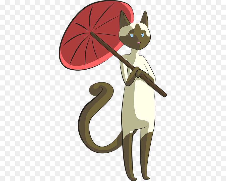 Kucing Siam，Kucing Tonkinese PNG