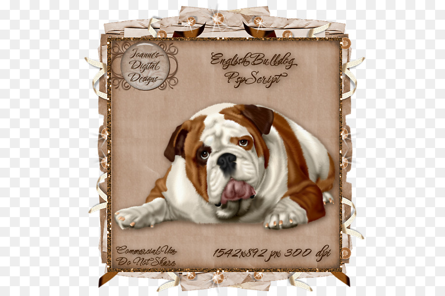 Bulldog，Anjing Berkembang Biak PNG