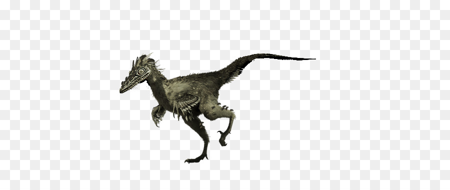 Velociraptor，Tyrannosaurus PNG