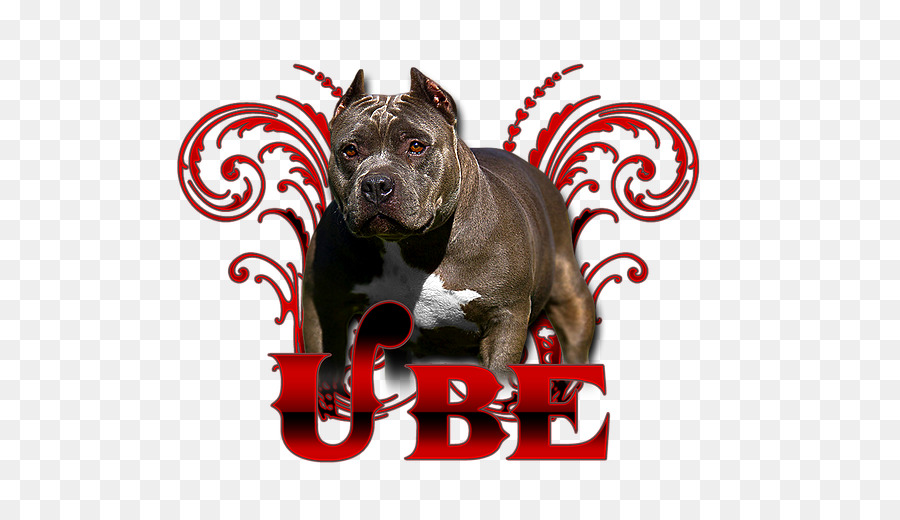 Anjing Berkembang Biak，American Pit Bull Terrier PNG