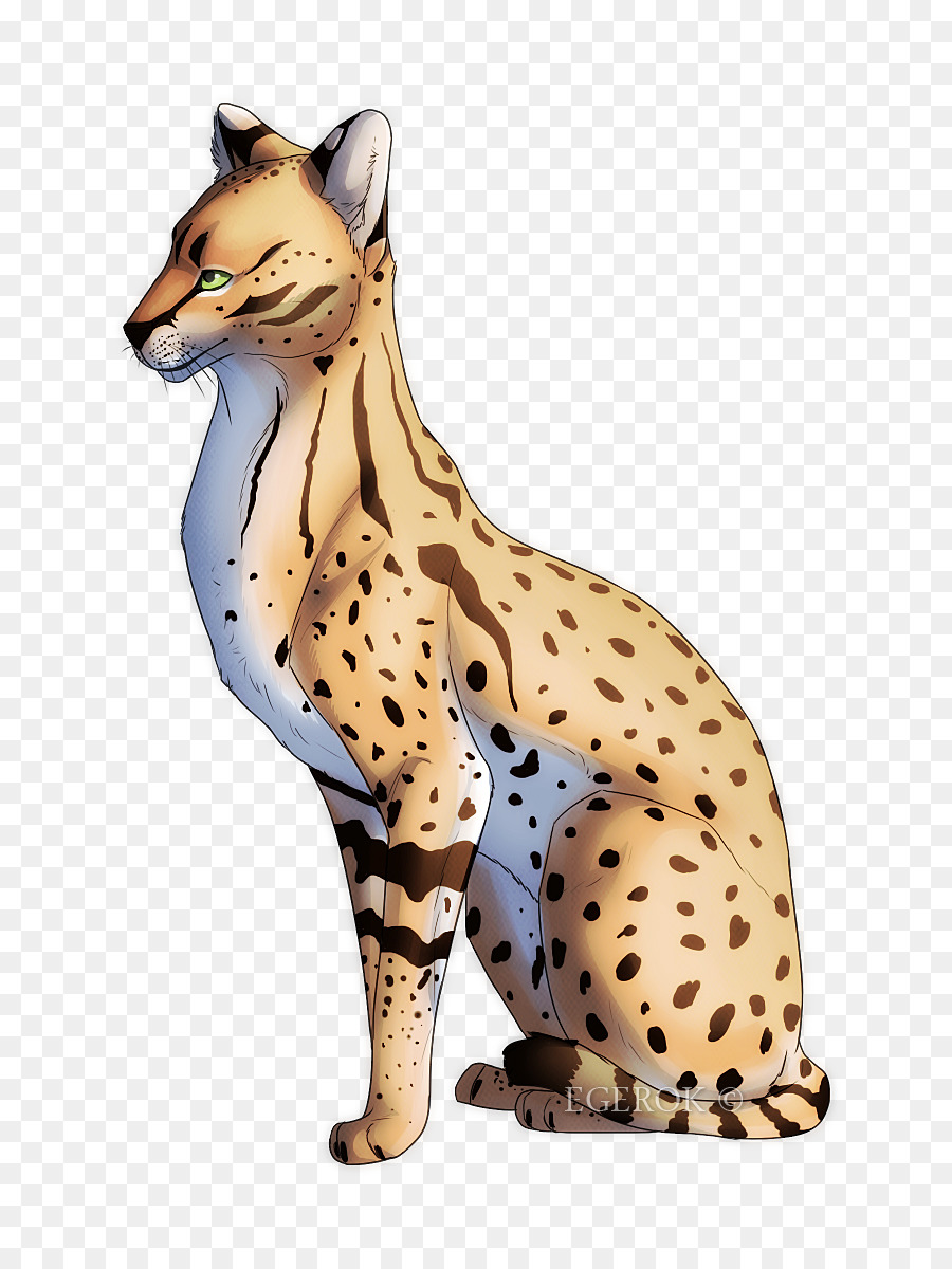 Cambang，Cheetah PNG