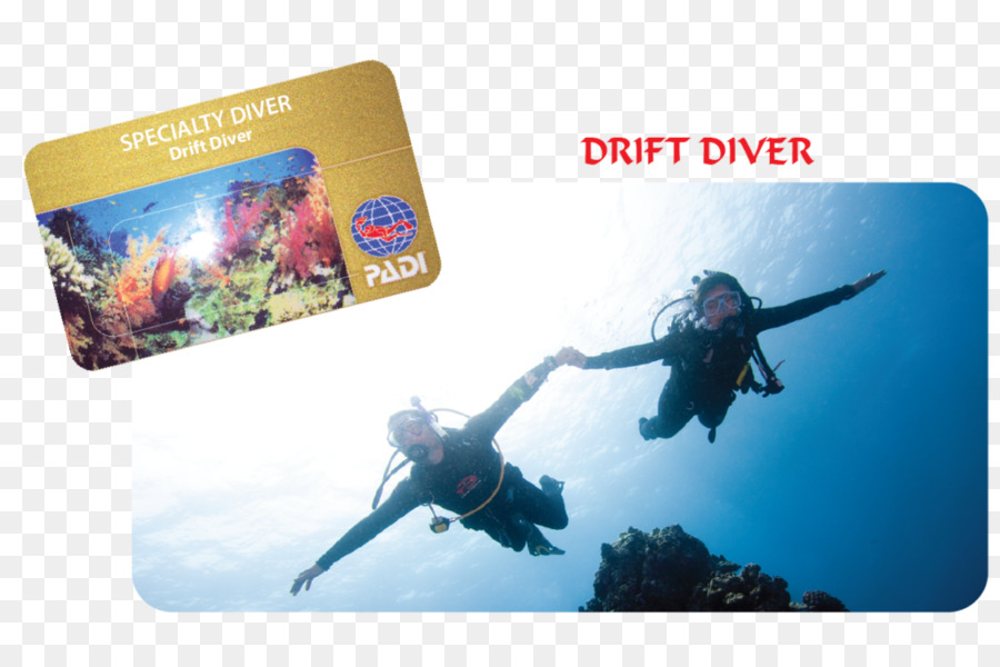 Professional Association Of Diving Instruktur，Scuba Diving PNG