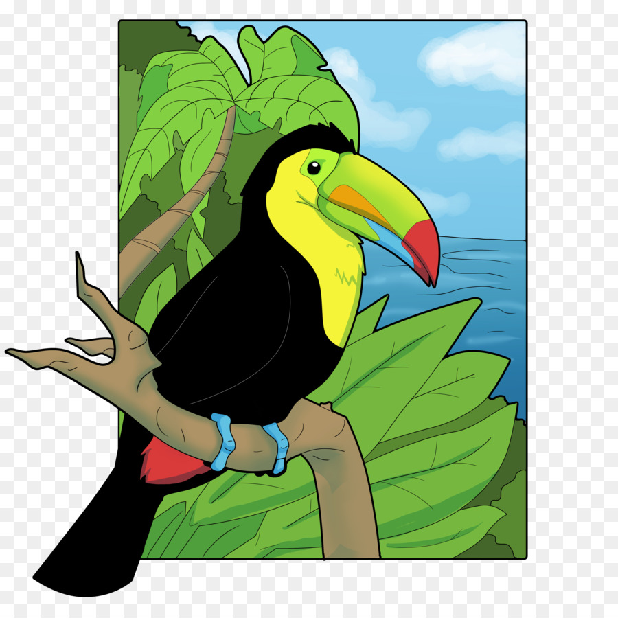 Paruh，Keelbilled Toucan PNG