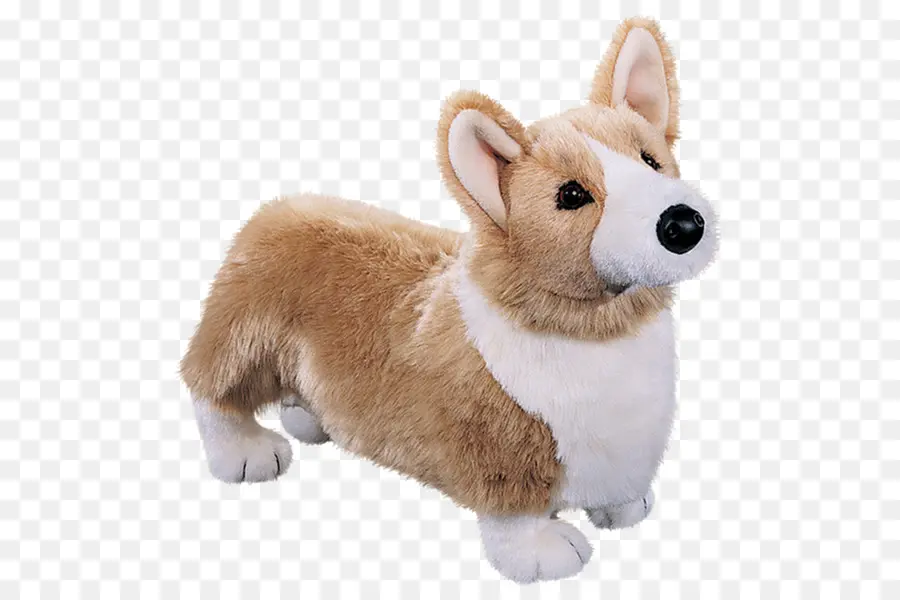 Corgi Mewah，Anjing PNG