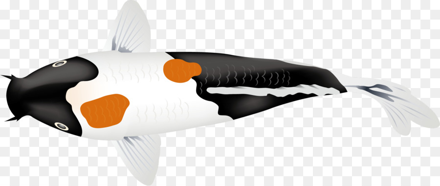 Ikan Koi，Kolam PNG