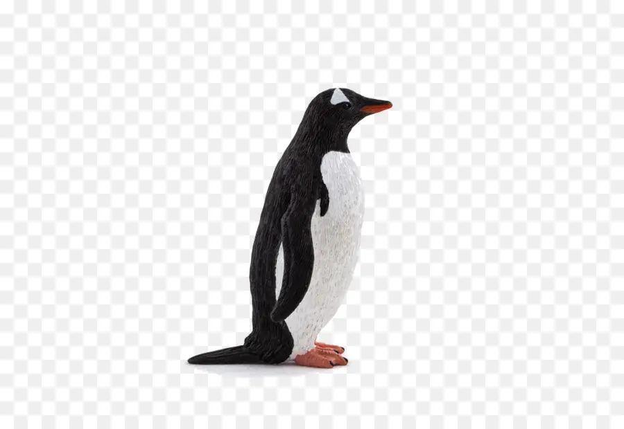 Penguin，Burung PNG