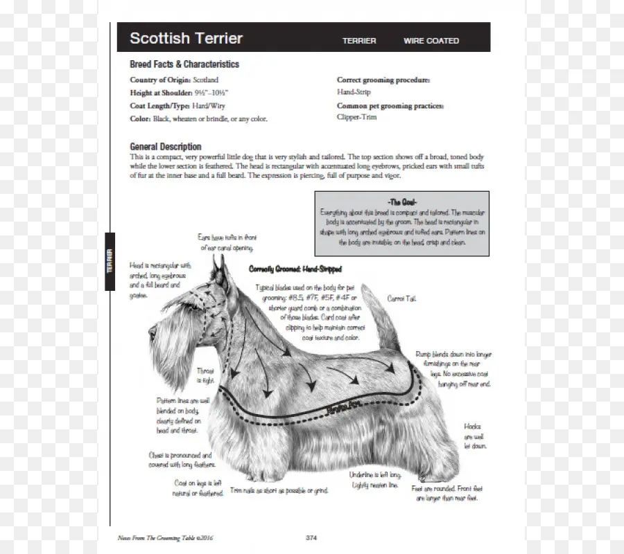 Diagram Terrier Skotlandia，Anjing PNG