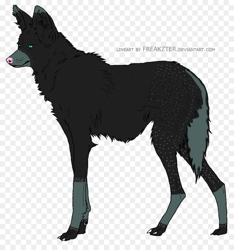 Schipperke，Paket Hewan PNG