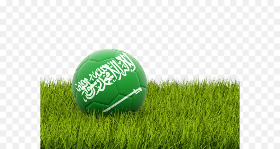 Bola Sepak Arab Saudi，Sepak Bola PNG