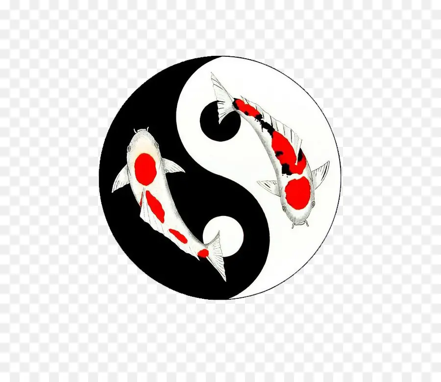 Ikan Koi Yin Yang，Keseimbangan PNG