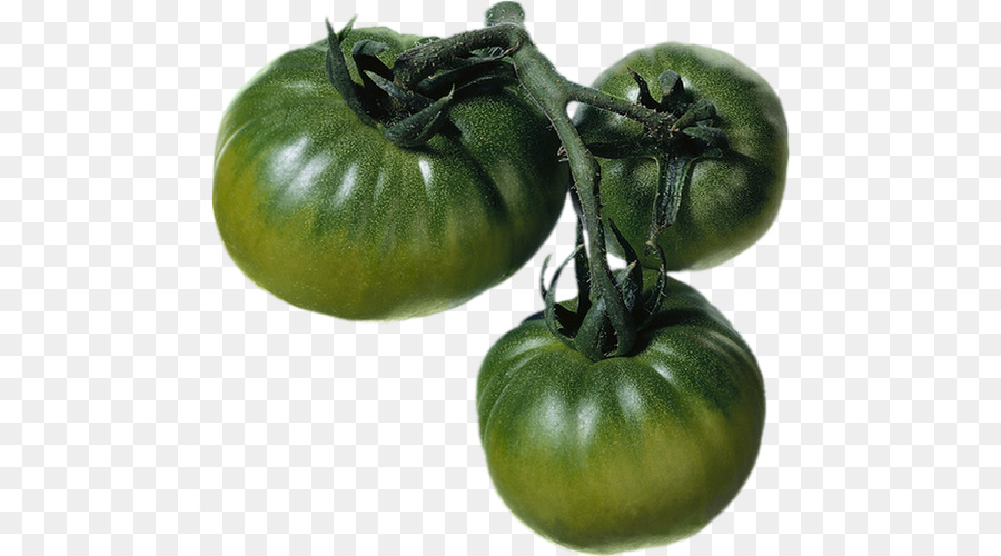 Tomat，Bush Tomat PNG