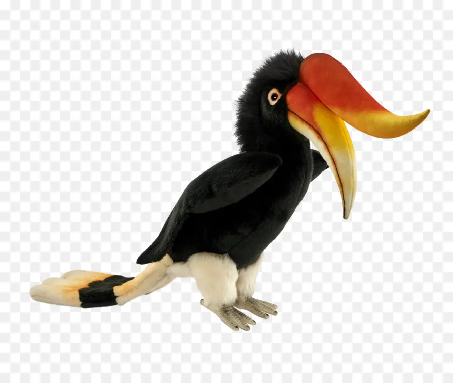 Burung Toucan，Paruh PNG