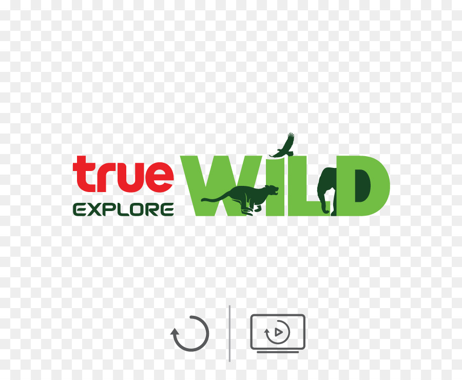 True Corporation，Sebenarnya Film Thailand PNG