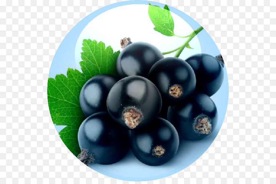 Blackcurrant，Jus PNG