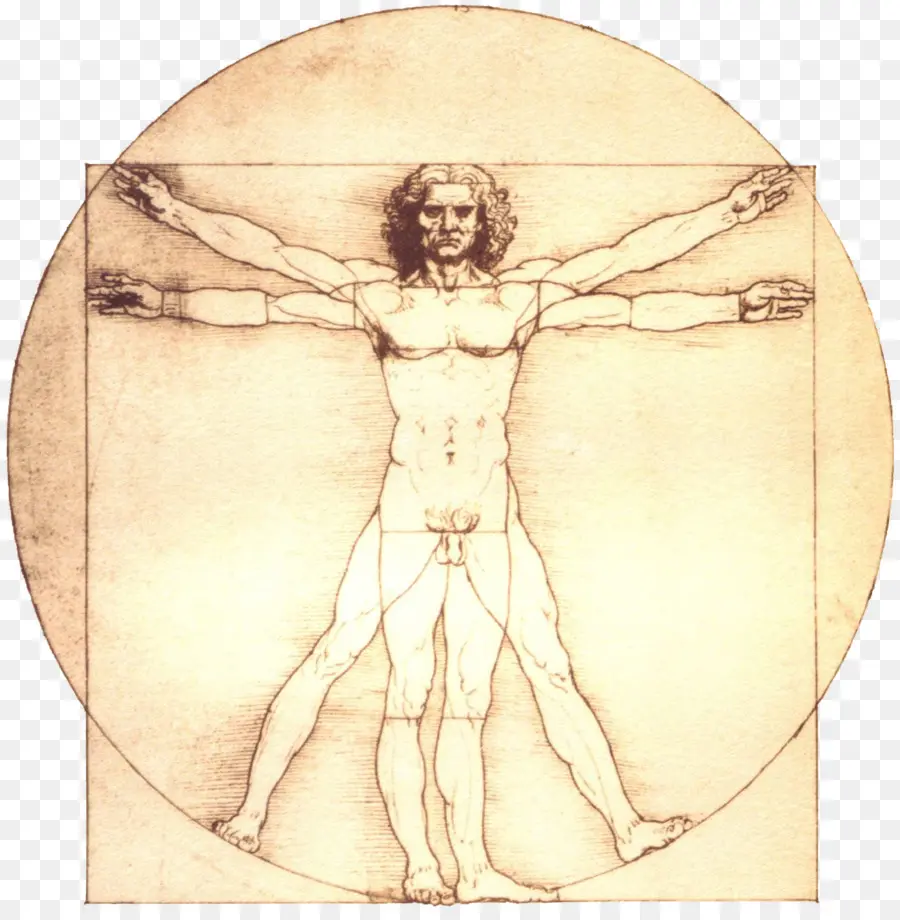 Manusia Vitruvian，Leonardo Da Vinci PNG