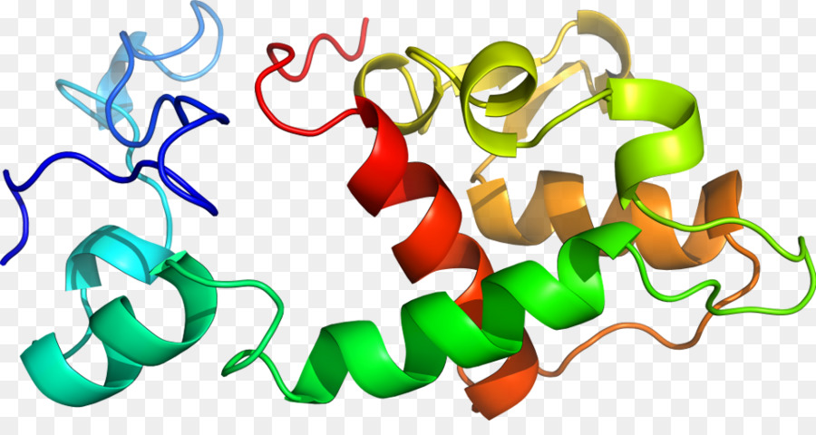 Heliks Protein，Molekul PNG