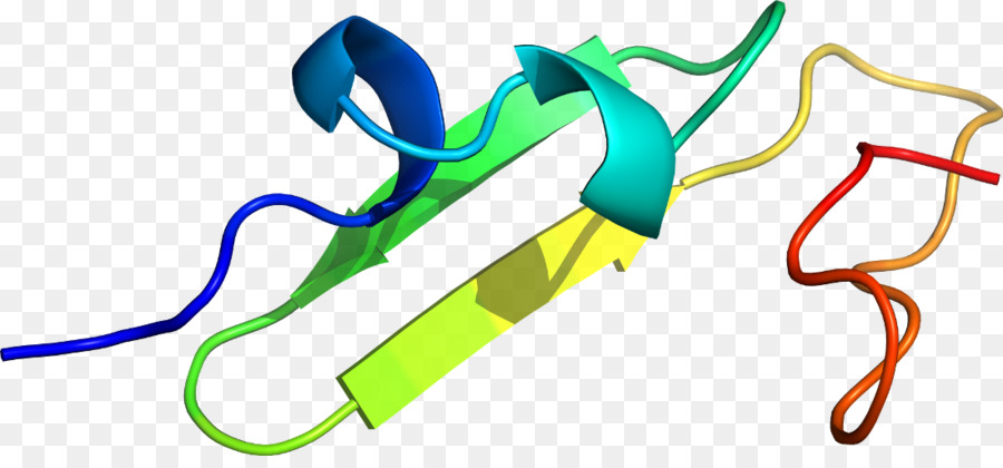 Heliks Protein，Molekul PNG