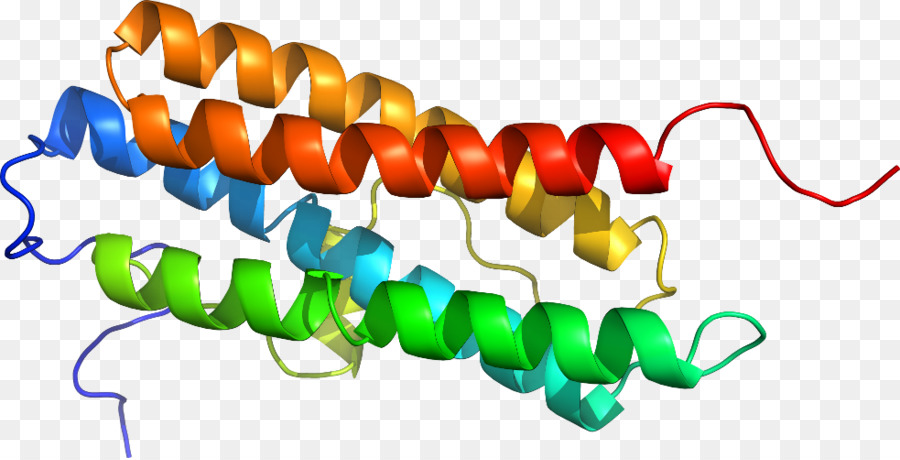 Heliks Protein，Molekul PNG