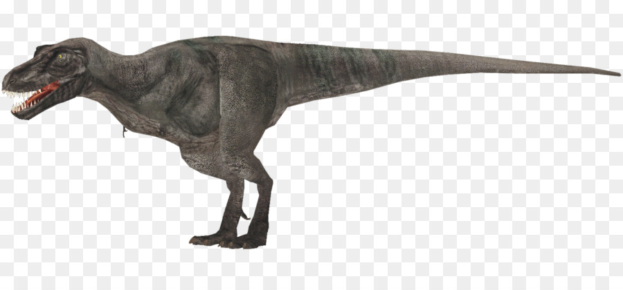 Tyrannosaurus，Hewan PNG