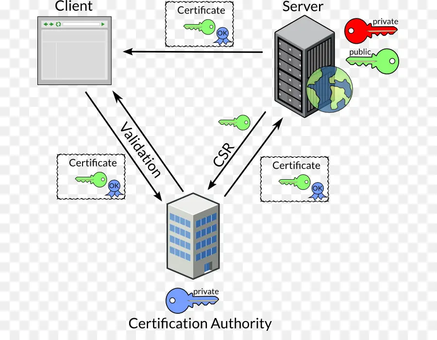 Diagram Sertifikasi，Klien PNG