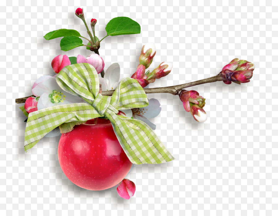 Lingonberry，Buah PNG