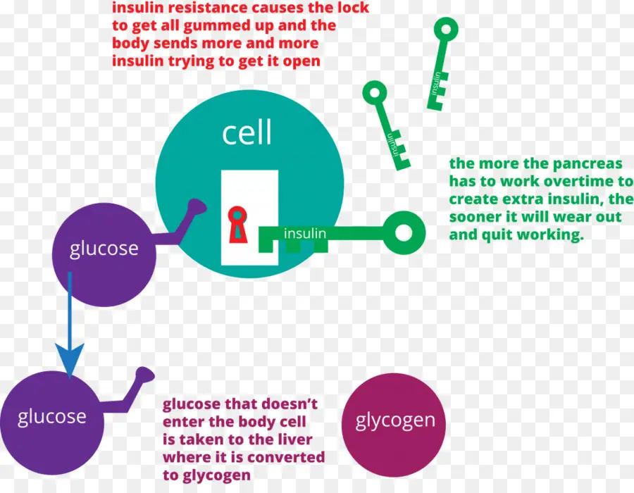 Resistensi Insulin，Glukosa PNG