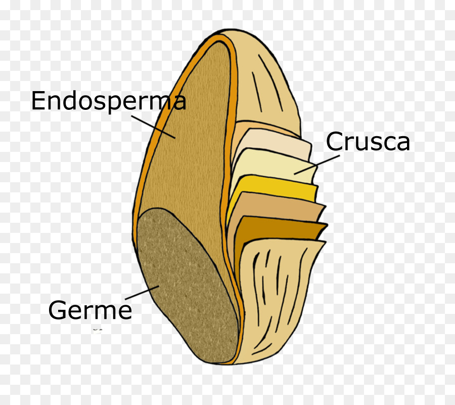 Kue，Pasta PNG