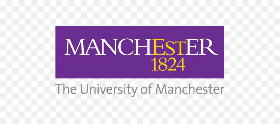 Universitas Manchester，Aliansi Manchester Business School PNG
