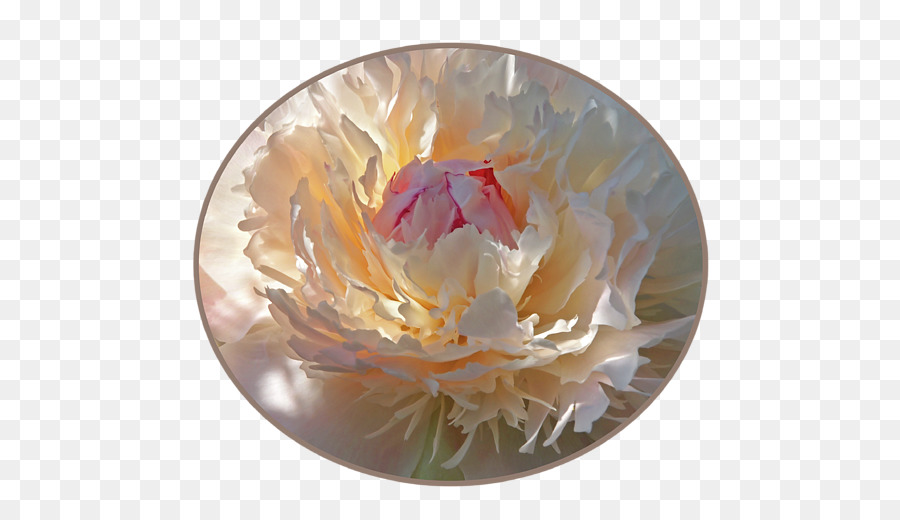 Peony，Peralatan Makan PNG