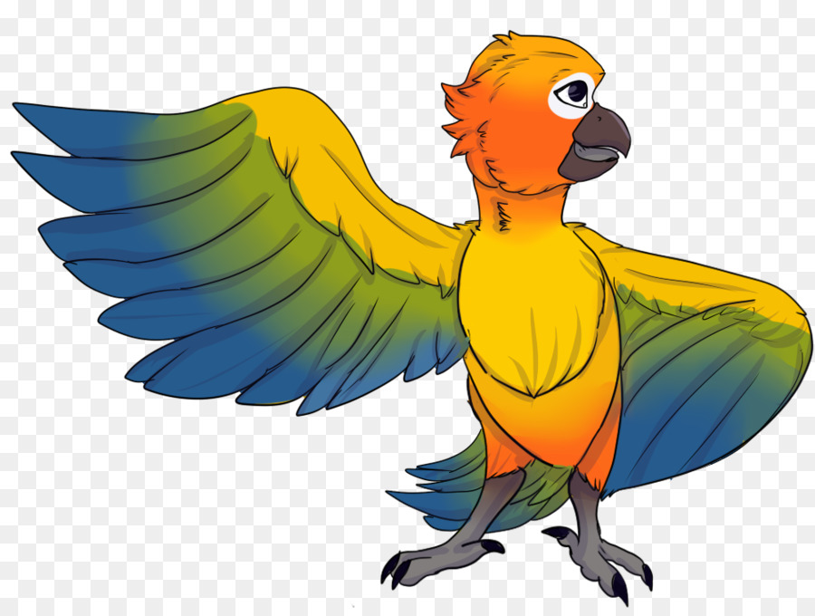 Macaw，Lovebird PNG
