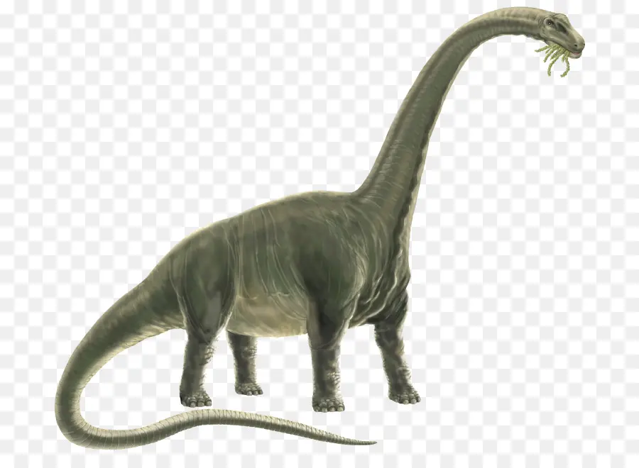 Dinosaurus，Prasejarah PNG