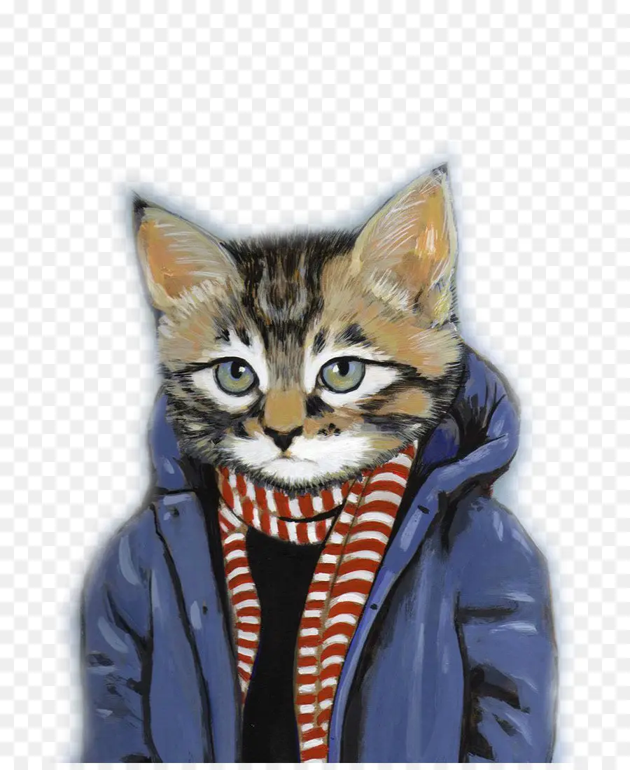 Kucing，Jaket PNG