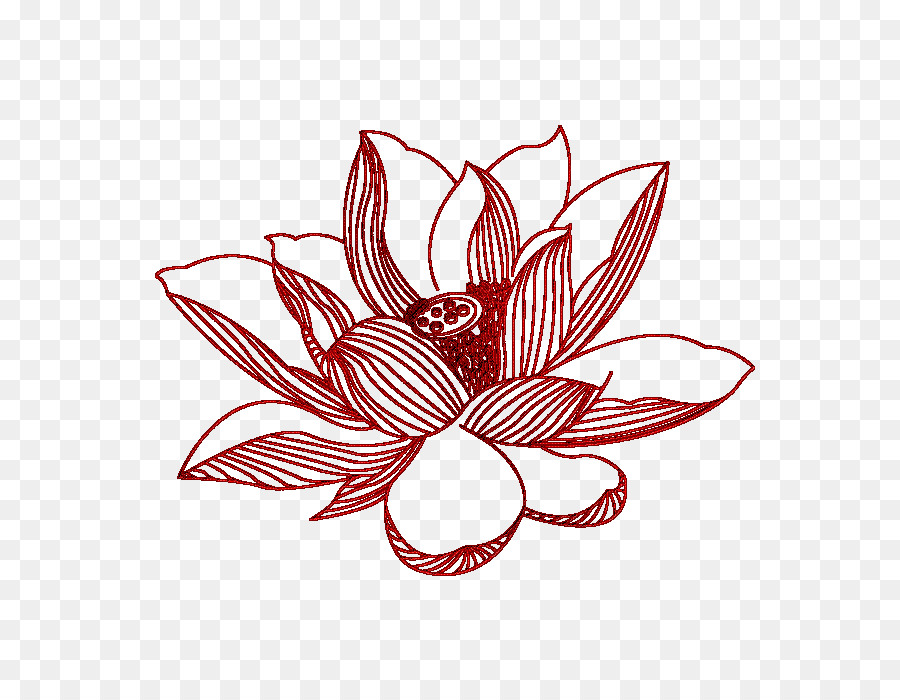 Desain Bunga，Nelumbo Nucifera PNG