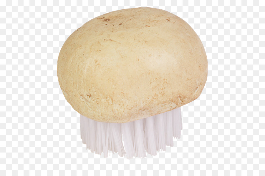 Agaricaceae，Obat PNG