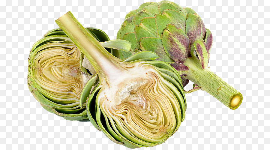 Artichoke，Hijau PNG