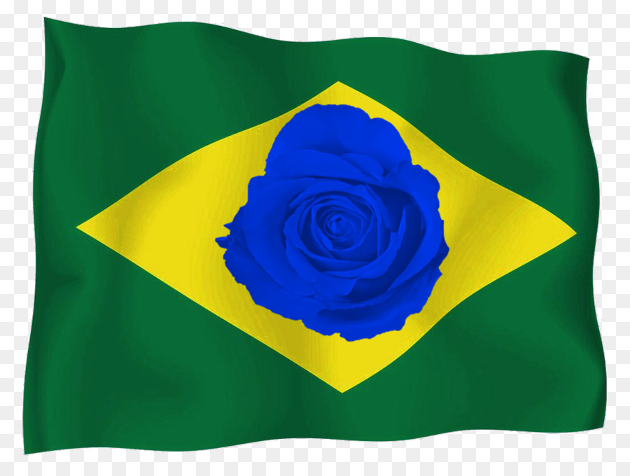 Bendera Brasil，Brazil PNG