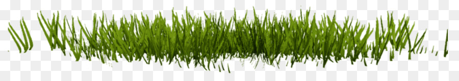 Rumput，Desktop Wallpaper PNG