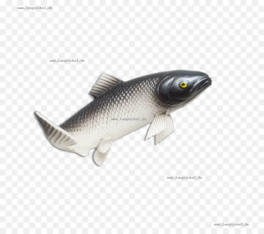 Mainan Ikan，Akuatik PNG