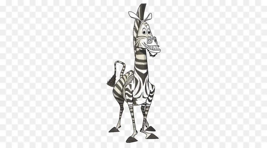 Zebra，Garis Garis PNG