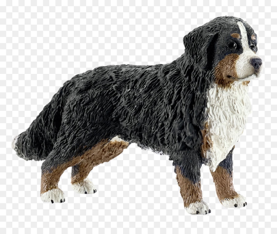 Bernese Mountain Dog，Anjing PNG