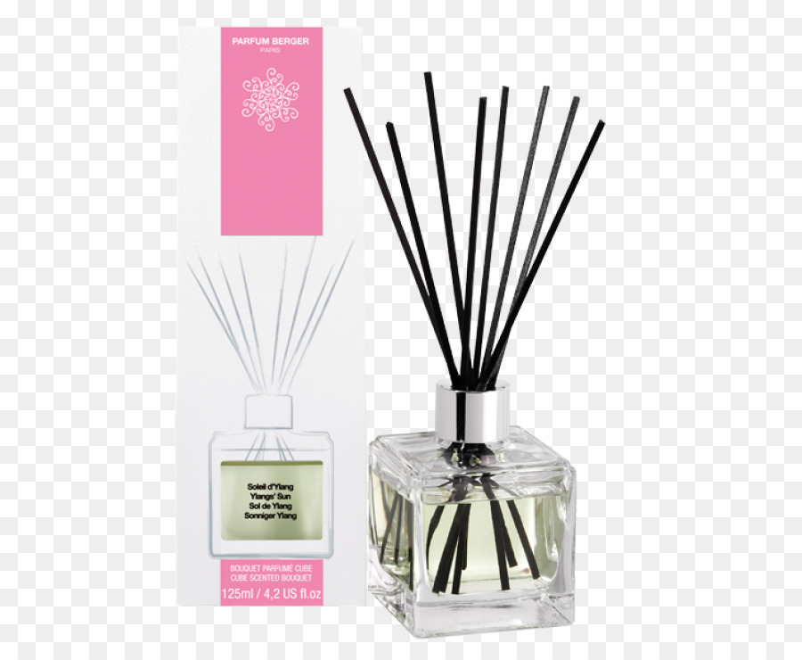 Parfum，Wangi Lampu PNG