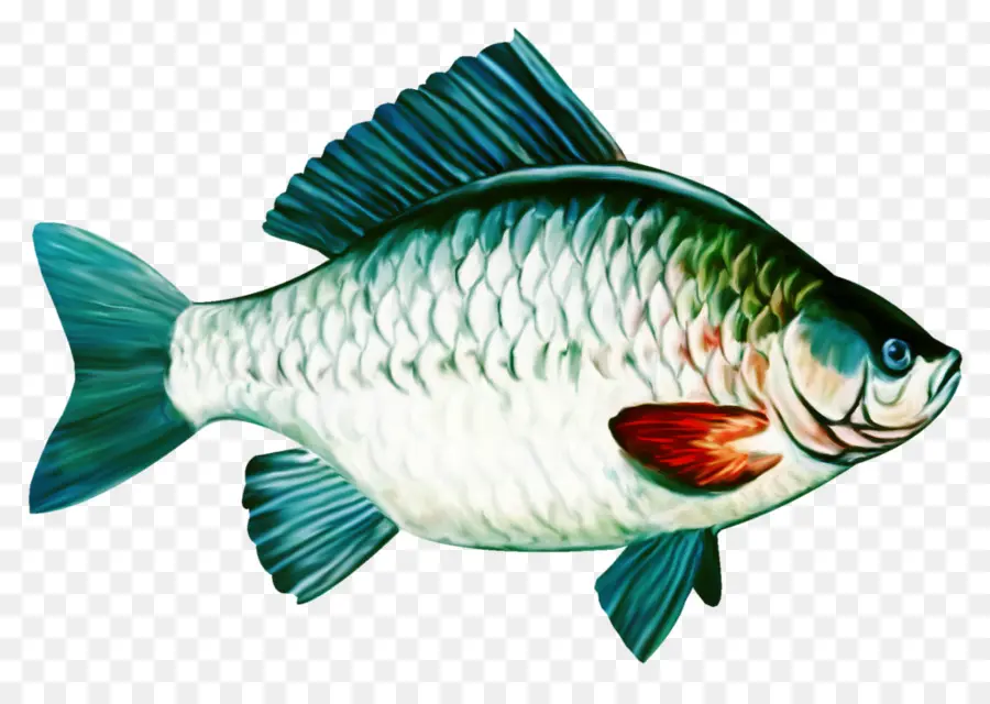 Ikan，Akuatik PNG