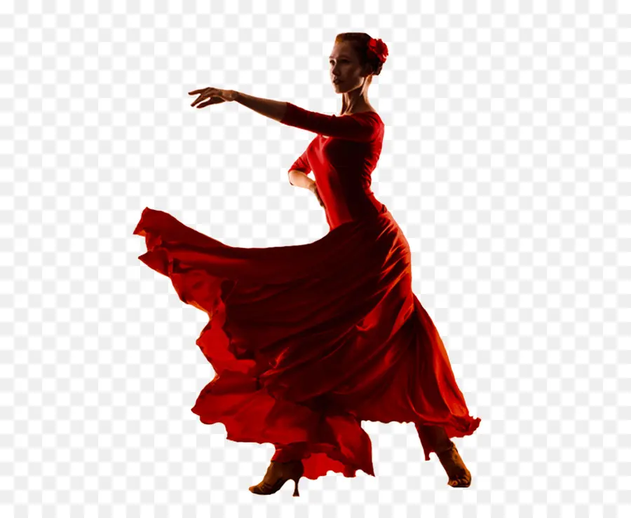 Seni Flamenco Acara Makan Malam，Flamenco PNG